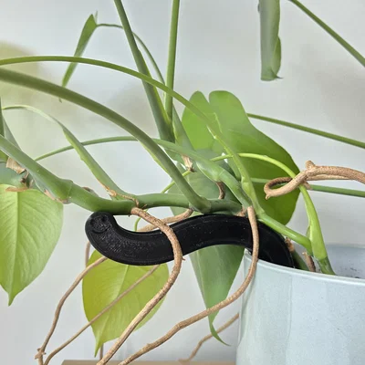 Phụ kiện đỡ cây Monstera hình chú sâu (Plant Support Worm) in 3D