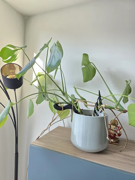 Phụ kiện đỡ cây Monstera hình chú sâu (Plant Support Worm) in 3D - Image 2