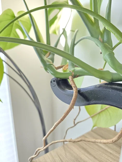 Phụ kiện đỡ cây Monstera hình chú sâu (Plant Support Worm) in 3D - Image 3