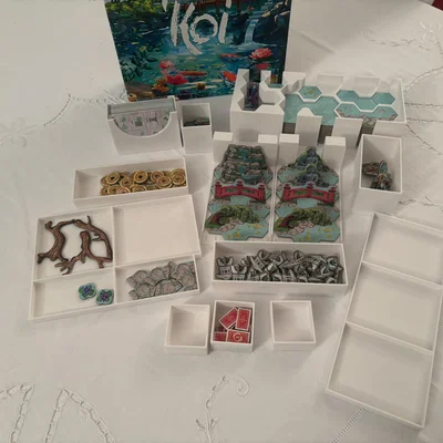 Koi BG organizer