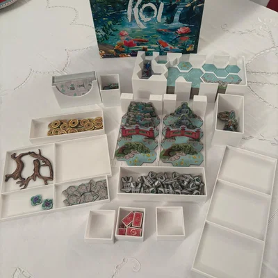 Koi BG organizer