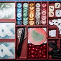 Insert Organizer đầy đủ cho Wingspan Asia (Full Insert Organizer) - Thumbnail 1