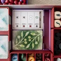 Khay Insert Organizer full cho Wingspan Asia + Europe - Thumbnail 2