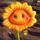 Nemos3DLab_673930