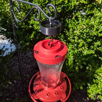 Bẫy nước ngăn kiến cho máng ăn chim ruồi (Hummingbird Feeder Ant Moat)