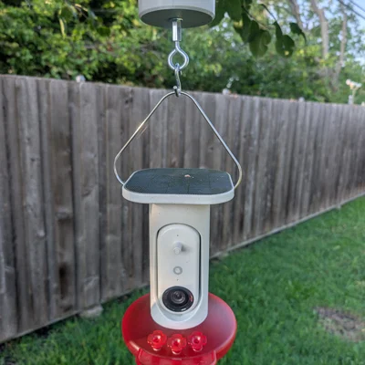 Bẫy kiến cho máng ăn chim ruồi (Hummingbird Feeder Ant Moat)