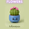 Chậu trồng sen đá hình hoa dễ thương M1 - Thumbnail 1