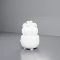 Chậu trồng sen đá hình hoa dễ thương M1 - Thumbnail 4