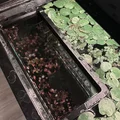 Vòng ngăn cây thủy sinh nổi dạng lắp ghép mô-đun - Thumbnail 1