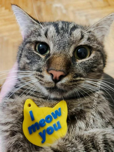 Móc khóa hình mặt mèo "I meow you" dễ thương cho người yêu thú cưng - Image 1