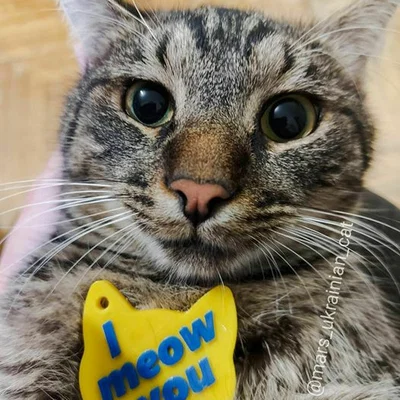 Móc khóa hình mặt mèo "I meow you" dễ thương cho người yêu thú cưng