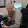aessu_3861871