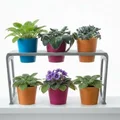 Kệ để cây 3 ngăn (3-slot Plant Stand) - Thumbnail 5