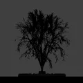 Mô hình cây trang trí để bàn ấn tượng - File in 3D Decor - Thumbnail 2