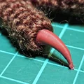 Móng Vuốt Động Vật (Animal Claw) - Phụ kiện thủ công - Thumbnail 4