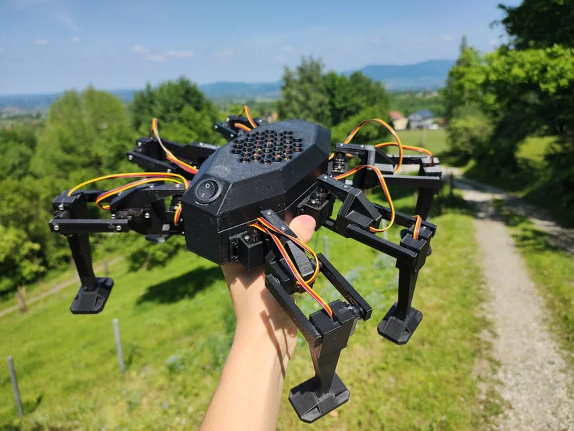 Hexapod - Robot 6 chân chi phí dưới 100€ - Image 1