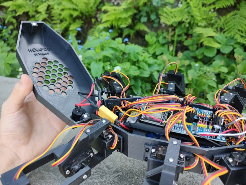 Hexapod - Robot 6 chân chi phí dưới 100€ - Image 7