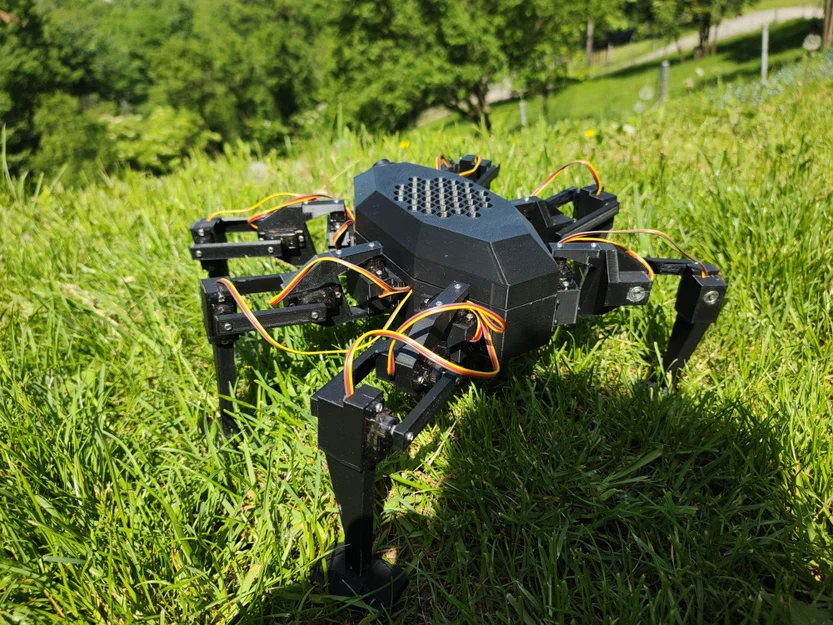 Hexapod - Robot 6 chân chi phí dưới 100€ - Image 9