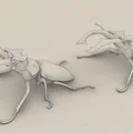 Mô hình trang trí Bọ hung kẹp kìm – Phiên bản tách rời - Thumbnail 2