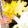 VictorSilvei_3891485