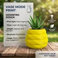 Chậu trồng cây #001 - In chế độ Vase Mode - Bản gốc - Thumbnail 1