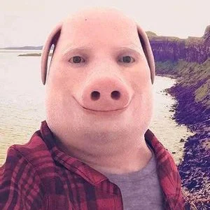 Mô hình điêu khắc meme John Pork