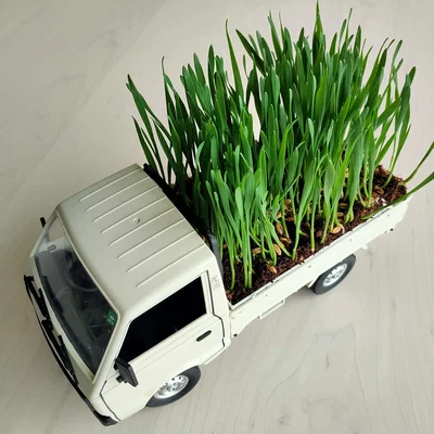 Khay lót thùng xe D12 và D12 mini để trồng cây