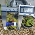 Bộ ốc và đai ốc 1/4"-20 UN - Thumbnail 1