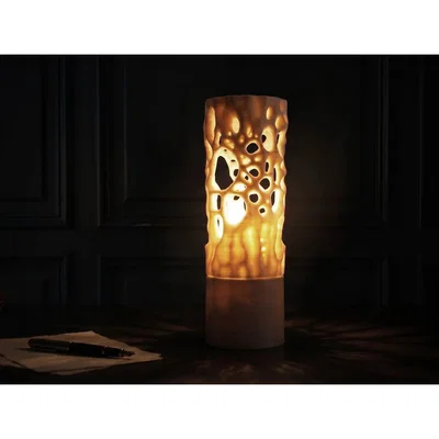 Đèn ngủ thiết kế cấu trúc hữu cơ (Organic Structure LAMP)