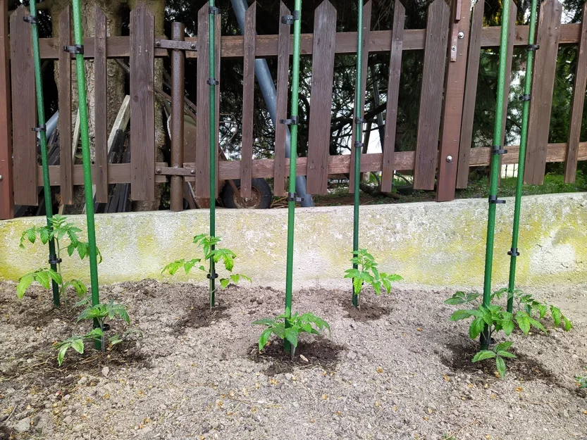 Kẹp cố định cây trồng (Plant clip) - Phụ kiện in 3D cho vườn cà chua - Image 2