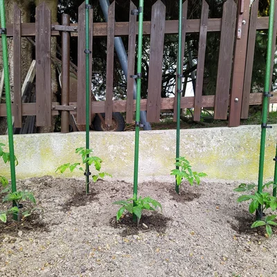 Kẹp cố định cây trồng (Plant clip) - Phụ kiện in 3D cho vườn cà chua