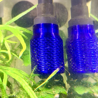 Lưới Lọc Bảo Vệ Cá Con & Tép – Phụ Kiện Cho Lọc Thùng Fluval 107