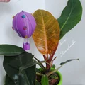 Khinh khí cầu treo tự làm (DIY Hanging Hot Air Balloon) - Thumbnail 1