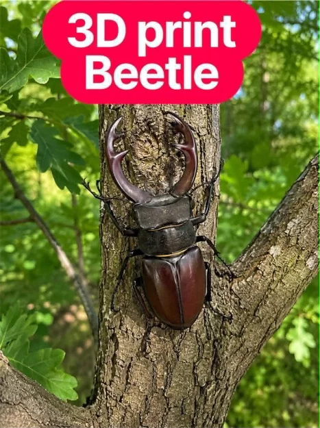 Mô hình bọ cánh cứng Stag Beetle cực kỳ chân thực - Image 1