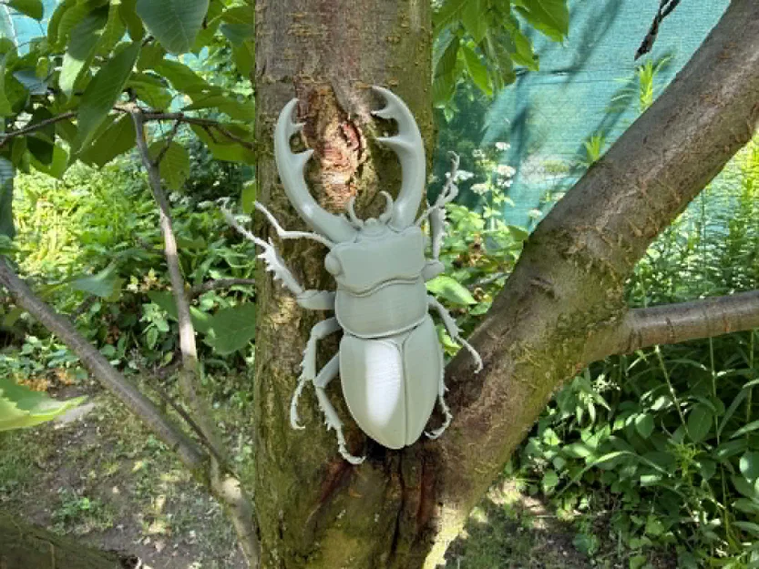 Mô hình bọ cánh cứng Stag Beetle cực kỳ chân thực - Image 2