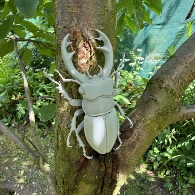 Mô hình bọ cánh cứng Stag Beetle cực kỳ chân thực