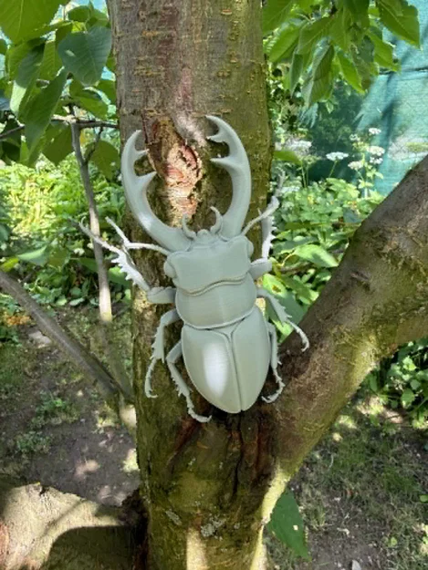 Mô hình bọ cánh cứng Stag Beetle cực kỳ chân thực - Image 3