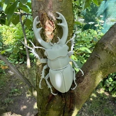 Mô hình bọ cánh cứng Stag Beetle cực kỳ chân thực
