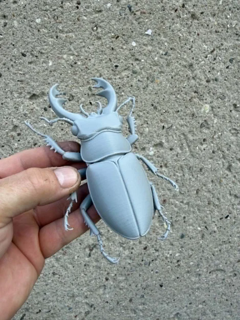 Mô hình bọ cánh cứng Stag Beetle cực kỳ chân thực - Image 5