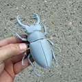 Mô hình bọ cánh cứng Stag Beetle cực kỳ chân thực - Thumbnail 5