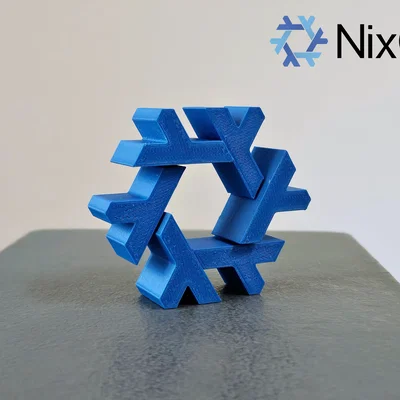 NixOS Flake