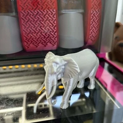 Mô hình 3D Voi Châu Phi - Tượng động vật in 3D sắc nét