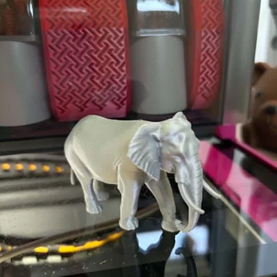 Mô hình 3D Voi Châu Phi - Tượng động vật in 3D sắc nét