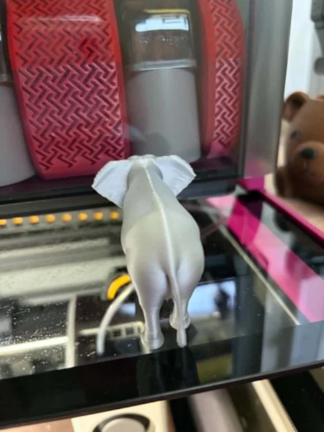 Mô hình 3D Voi Châu Phi - Tượng động vật in 3D sắc nét - Image 4