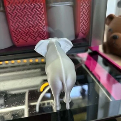 Mô hình 3D Voi Châu Phi - Tượng động vật in 3D sắc nét