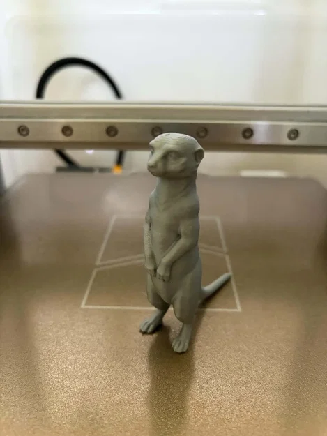 Tượng chồn Meerkat - Người bảo vệ tò mò của sa mạc - Image 2