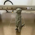 Tượng chồn Meerkat - Người bảo vệ tò mò của sa mạc - Thumbnail 2