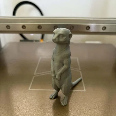 Tượng chồn Meerkat - Người bảo vệ tò mò của sa mạc