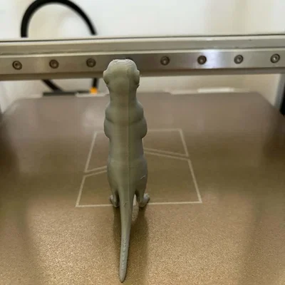 Tượng chồn Meerkat - Người bảo vệ tò mò của sa mạc