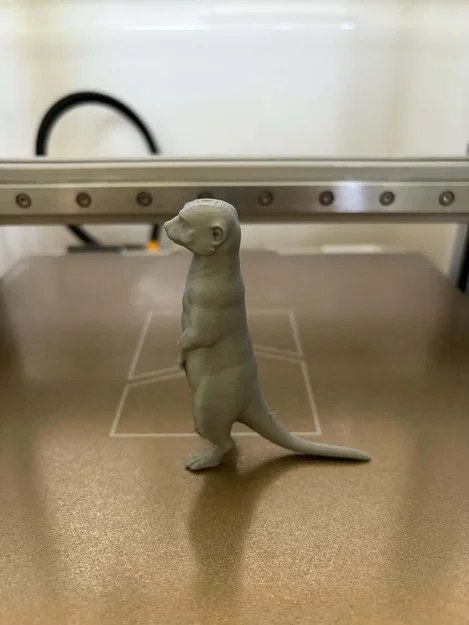 Tượng chồn Meerkat - Người bảo vệ tò mò của sa mạc - Image 4